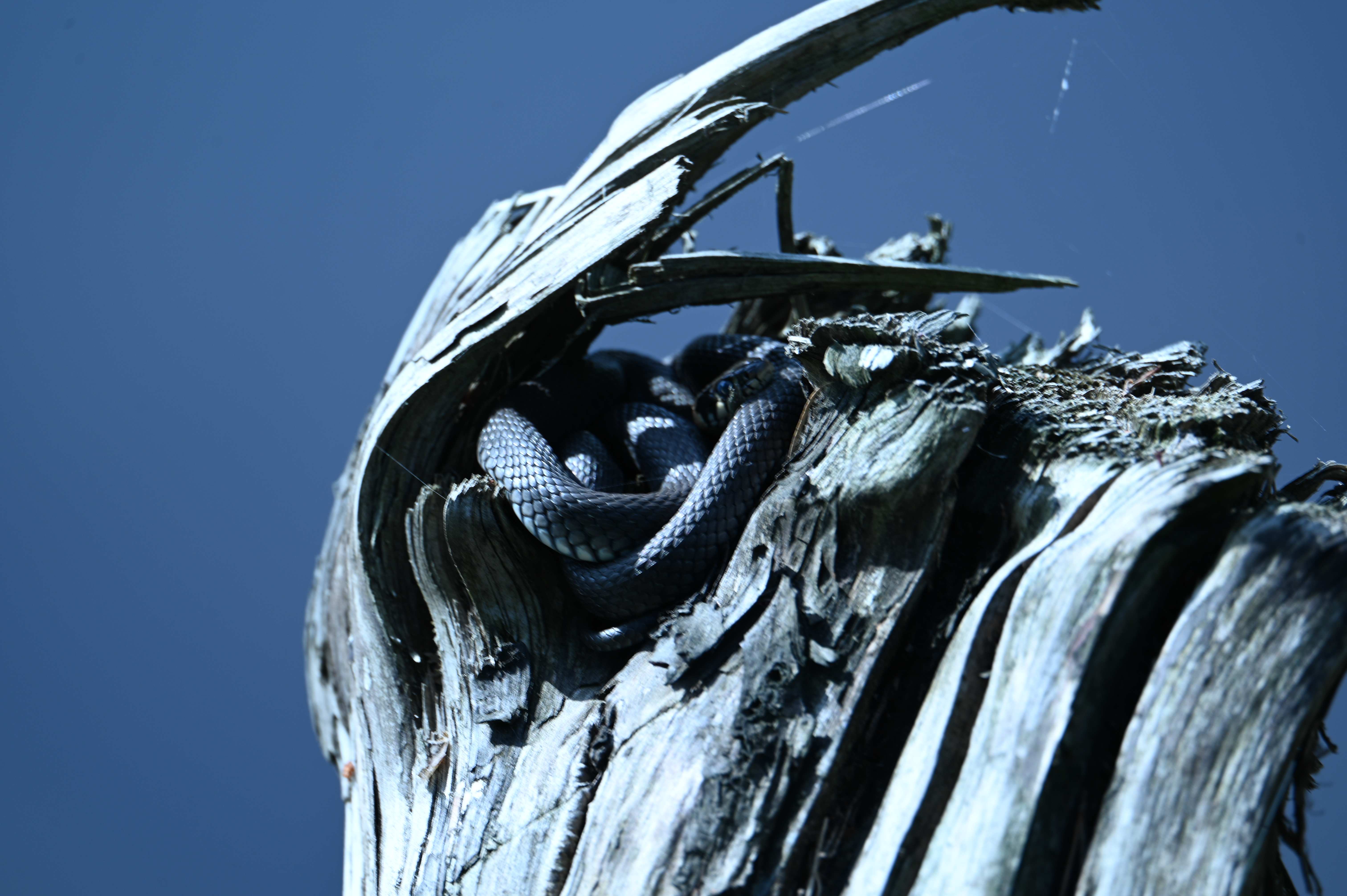 2025/07/09-14 - trip/DSC_0493.JPG